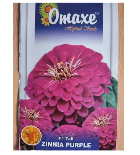 Omaxe F1 Tall Zinnia Purple Flower Seed - 50 Seeds